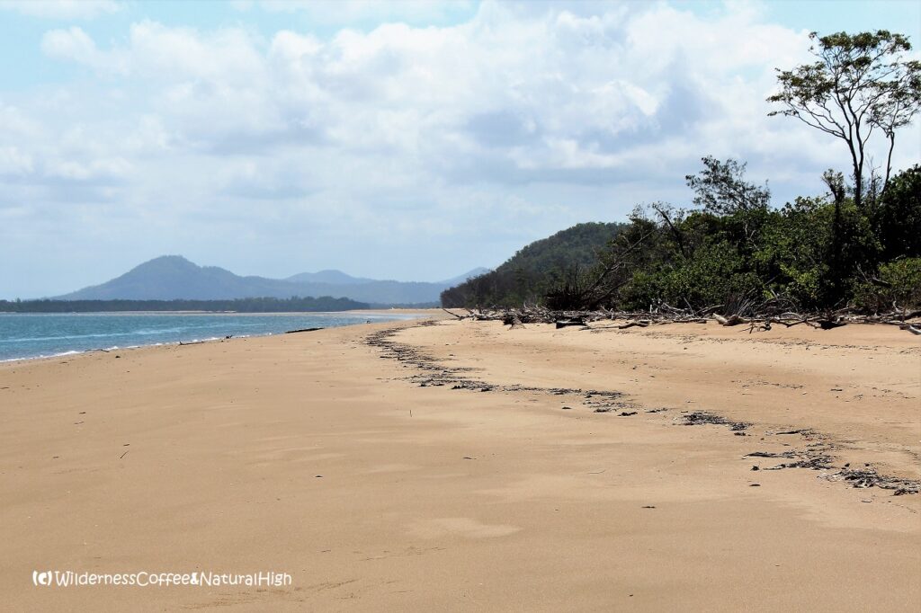 Mulligan Bay on the southern part of the Thorsborne trail. Hinchinbrook Island, Queensland, Australia.