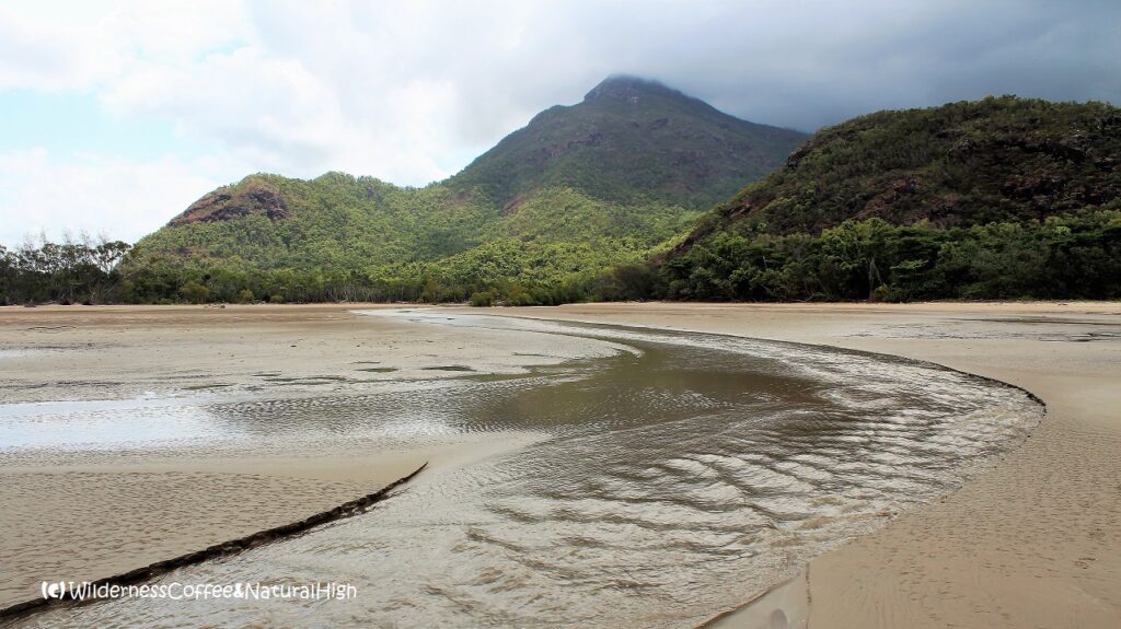 Streams flowing from the jungle into the sea at Mulligan Bay. Hinchinbrook Island, Queensland, Australia.