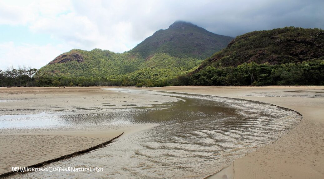 Streams flowing from the jungle into the sea at Mulligan Bay. Hinchinbrook Island, Queensland, Australia.