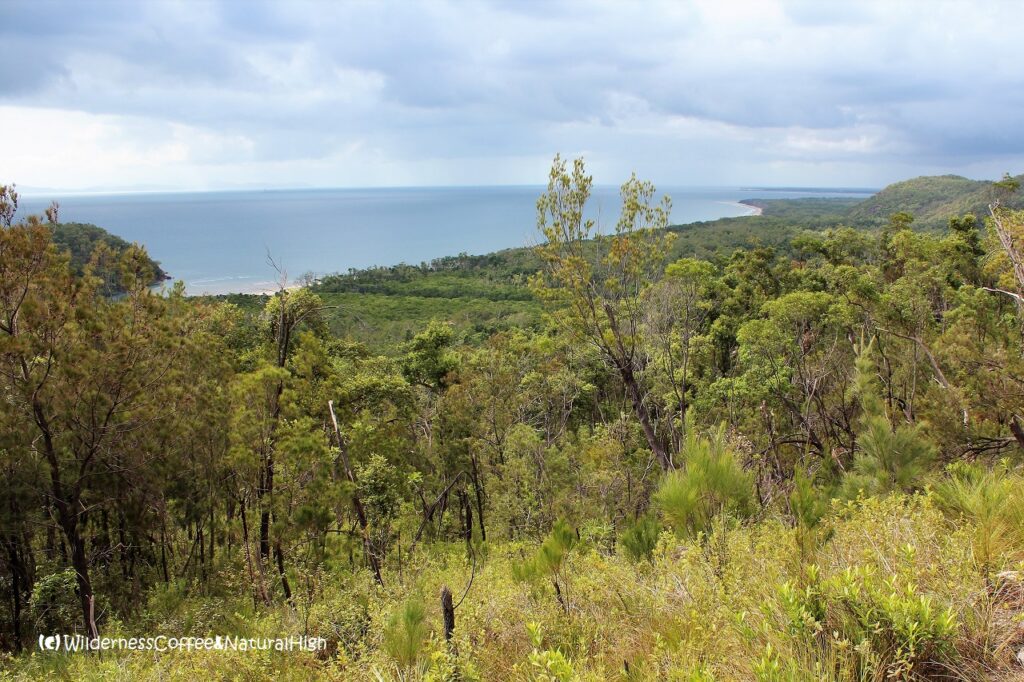 Hinchinbrook Island coastline, Queensland, Australia.