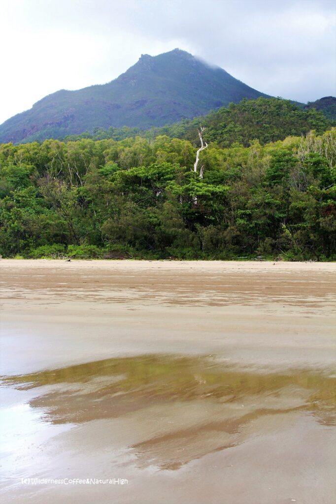 Pristine beaches and mountains along the Thorsborne trail. Mulligan Bay, Hinchinbrook Island, Queensland, Australia.