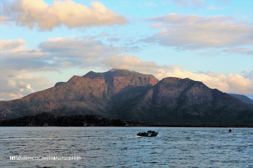 View to the southern side of Hinchinbrook Island from Lucinda, Queensland, Australia.