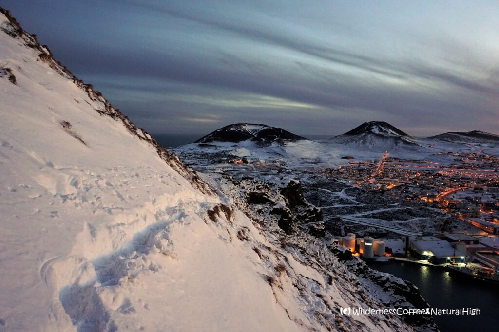 No easy task! Sheeptrack through the snow on the slopes of Heimaklettur.
