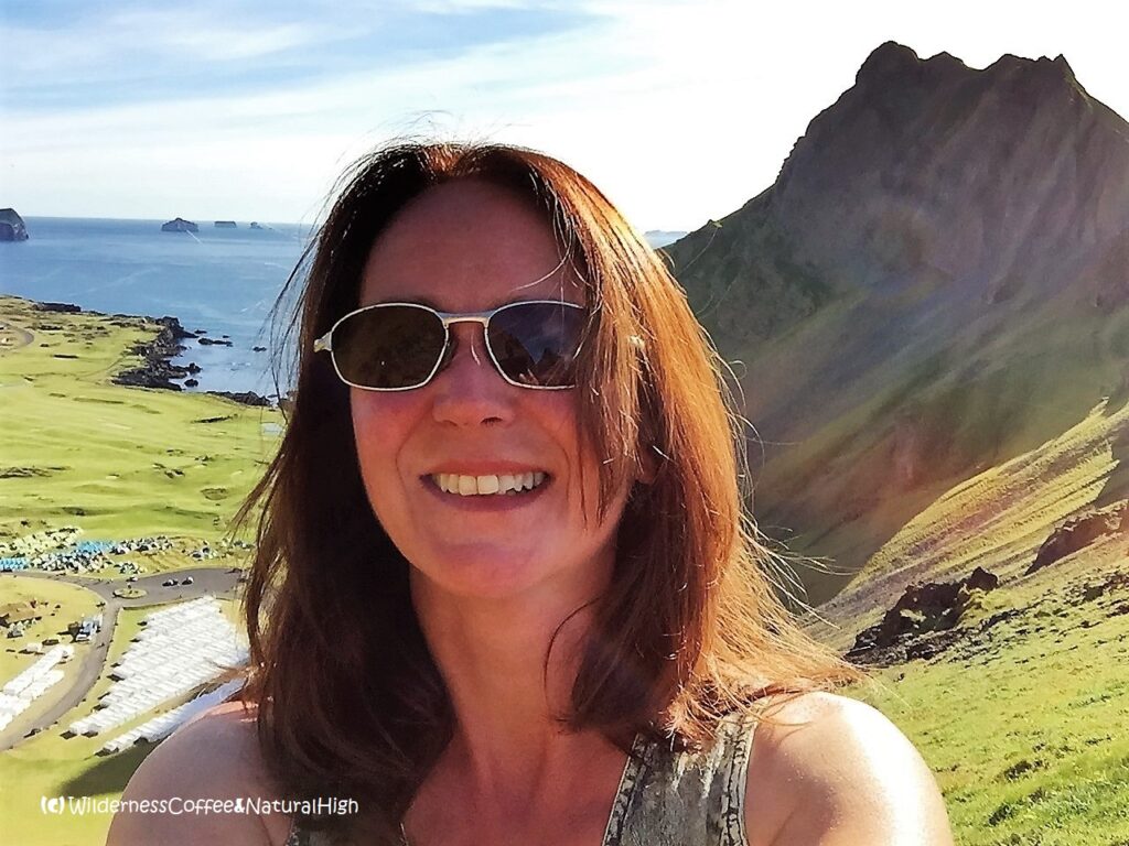 View from the top of Herjólfsdalur, Heimaey, Vestmannaeyjar, Iceland.