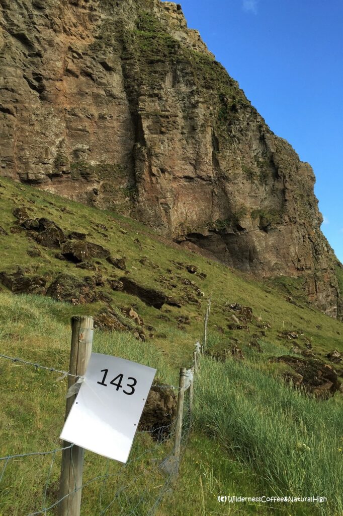 Numbered torches of Þjóðhátíð Torch number in Herjólfsdalur, Þjóðhátíð Vestmannaeyjar, Iceland.