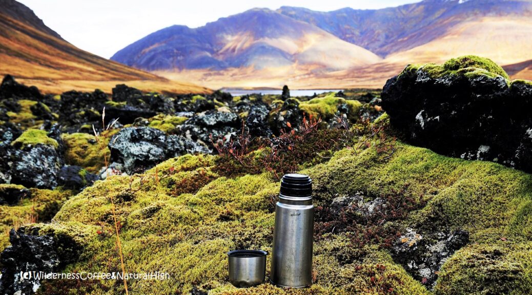 Wilderness Coffee in mossy lava field, Snaefellsnes, Iceland.