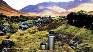 Wilderness Coffee in mossy lava field, Snaefellsnes, Iceland.