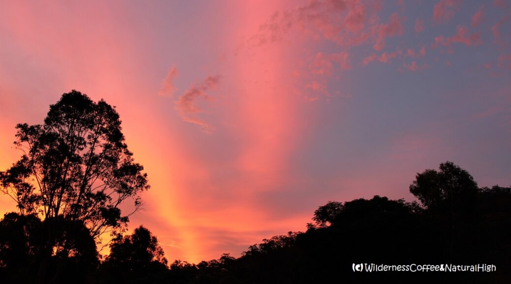 Aurora sunset, Wollemi National Park, New South Wales, Australia.