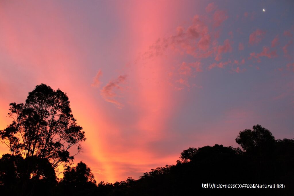 Aurora sunset lights, Wollemi National Park, New South Wales, Australia.