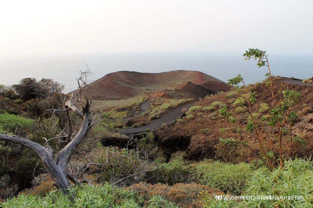 Crater-dotted west coast of El Hierro, Canary Islands.