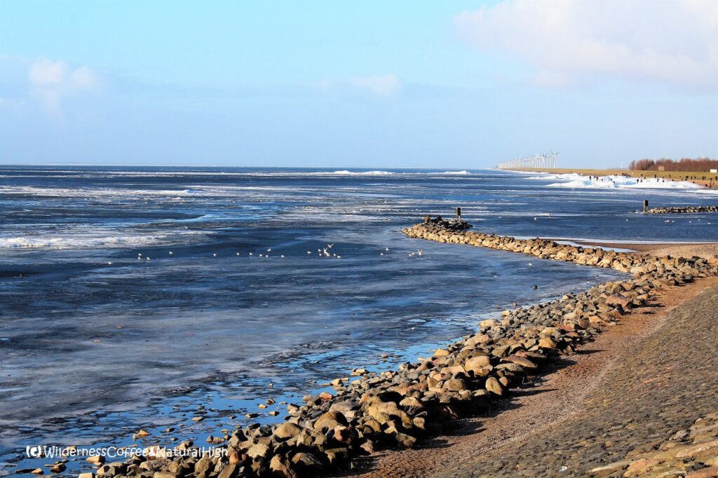 Drifting ice along the shores of IJsselmeer Drifting ice along the shores of IJsselmeer, The Netherlands.