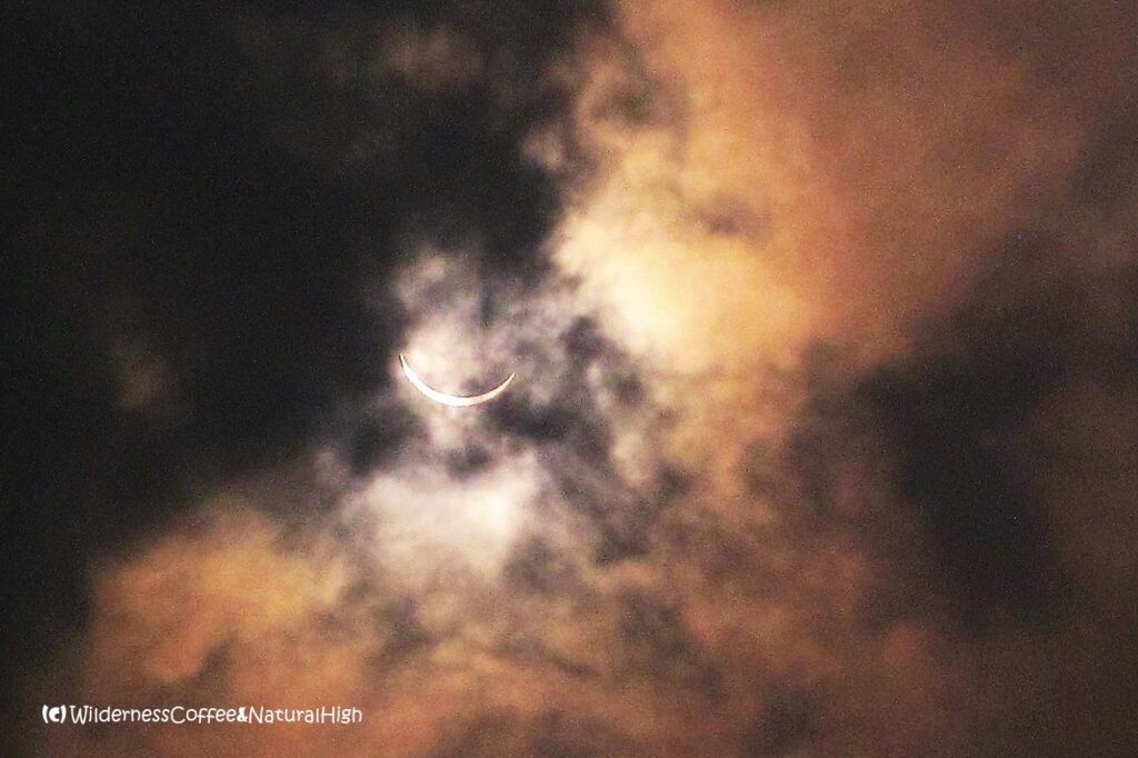 Solar eclipse chasing, the cloudy eclipse 2009 in China.