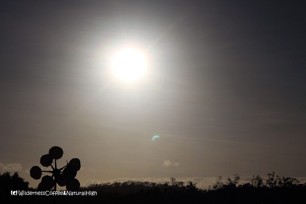 Eclipsed sunrise at Palmer River, Queensland, Australia.