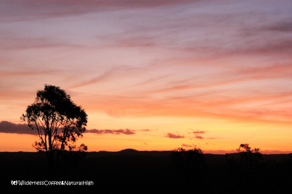 Eclipse sunset at Palmer River, Queensland, Australia.