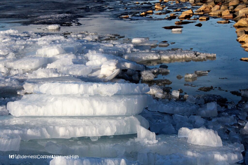 Icesheet lagoon Floating sheets of ice, Urk, The Netherlands.