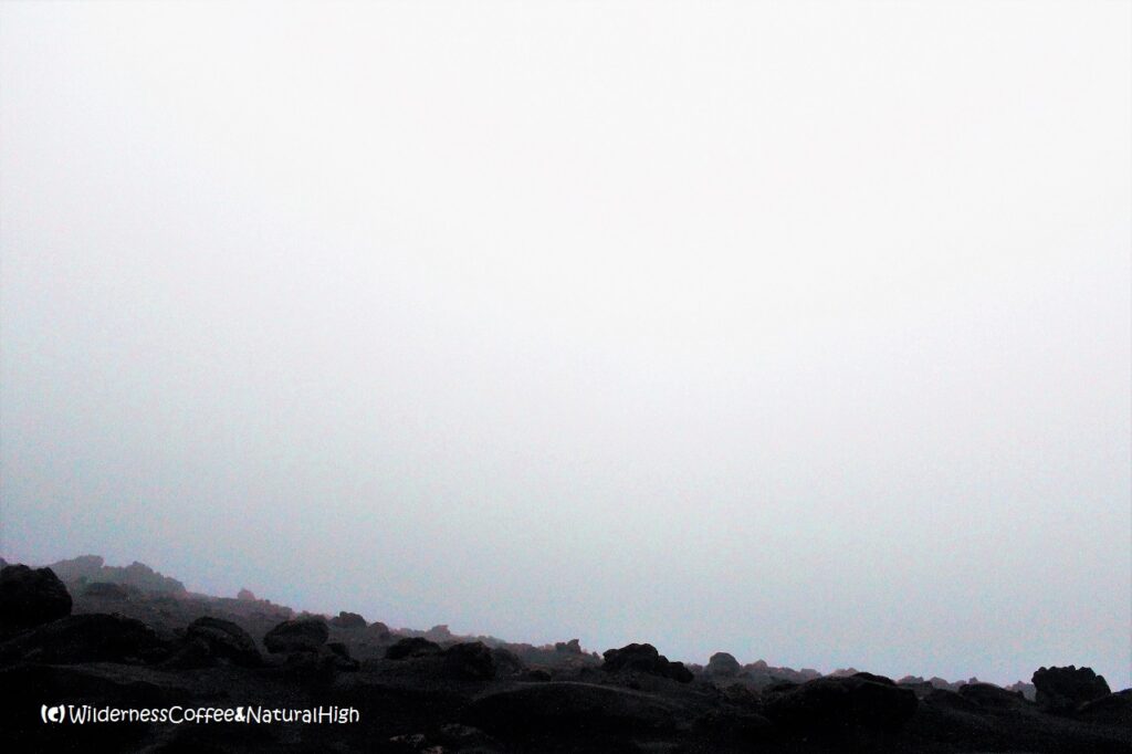 Foggy crater! View into the fog-filled craters of Stromboli.