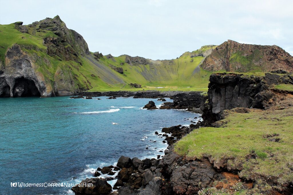 Herjólfsdalur valley, Vestmannaeyjar, Iceland.