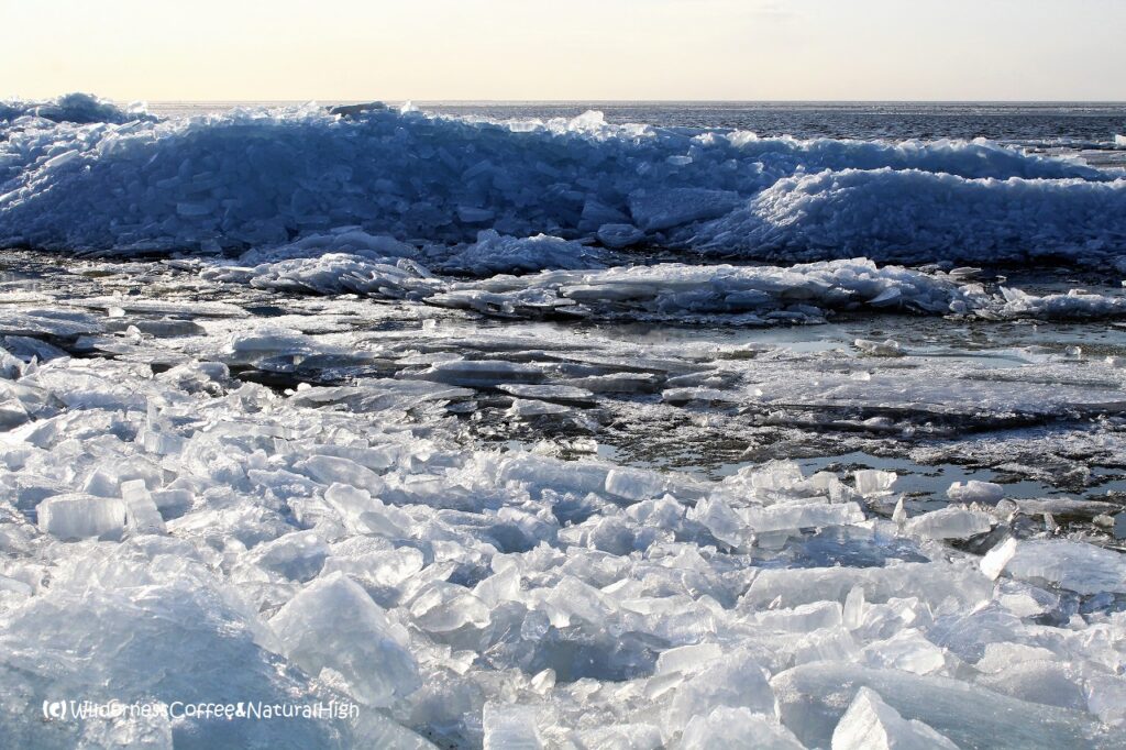 Drifting icesheets Iceberg lagoon at the shores of IJsselmeer, Urk, The Netherlands.