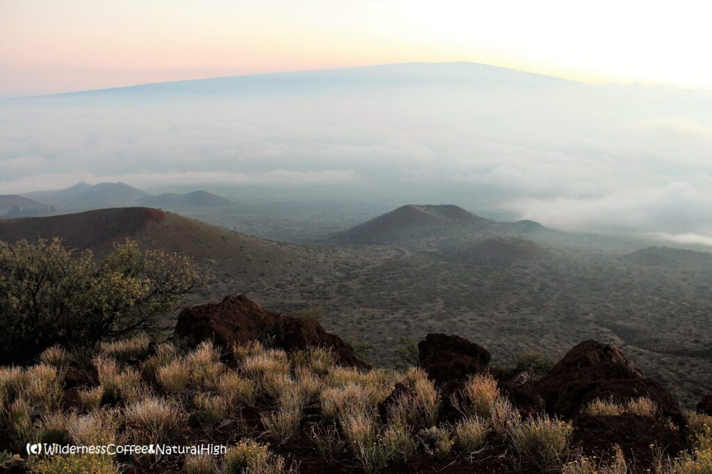 Sunset on Mauna Loa, Hawaii Big Island.