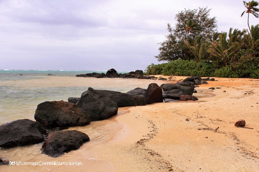 Blissful beaches on Rarotonga Blissful beaches on Rarotonga, Cook Islands.