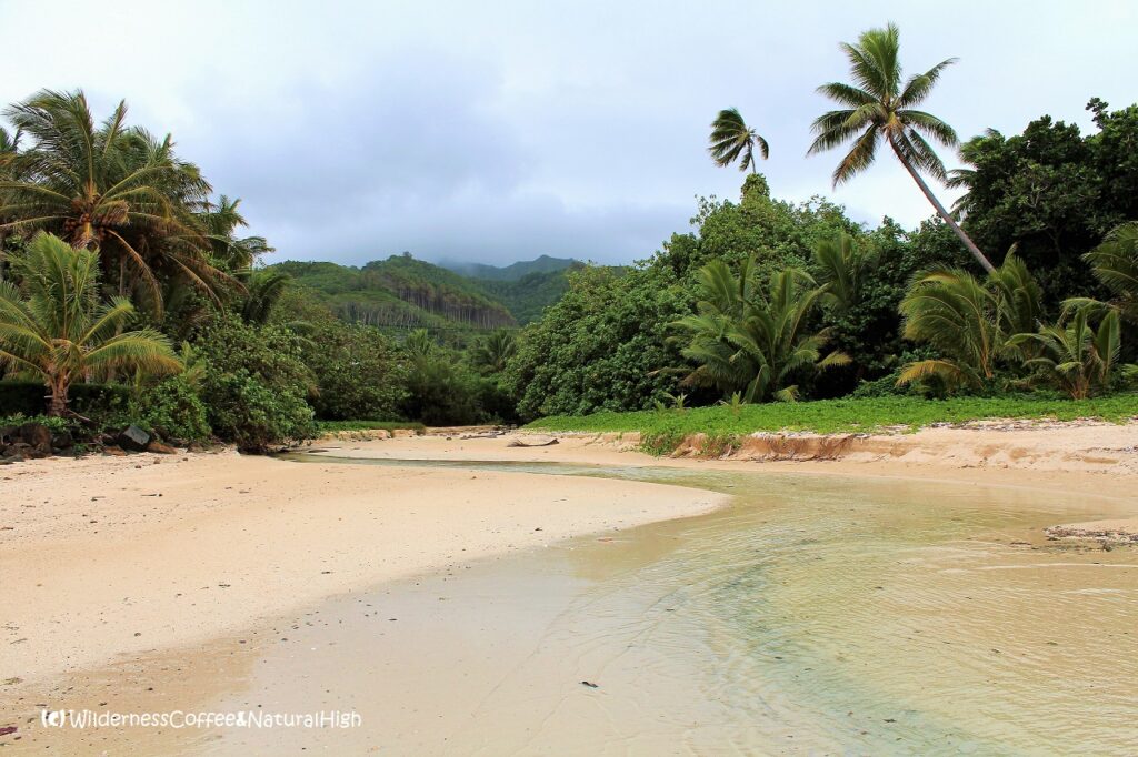 Jungle streams and beach Rarotonga jungle streams and beach, Cook Islands.