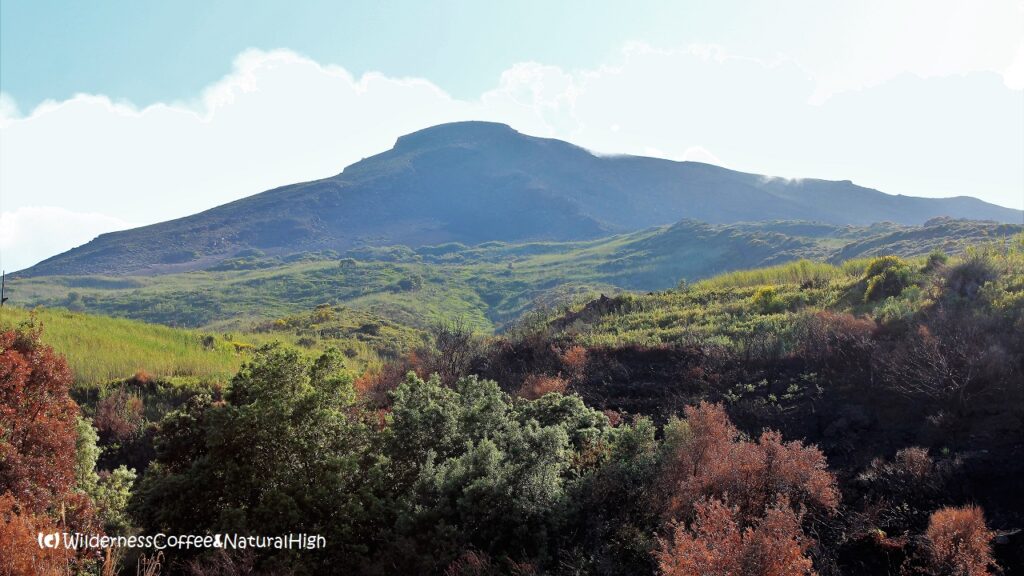 View to the top of Stromboli.