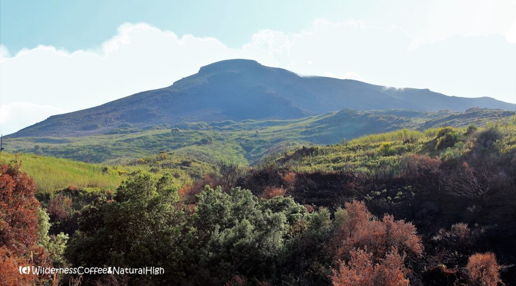 View to the top of Stromboli.