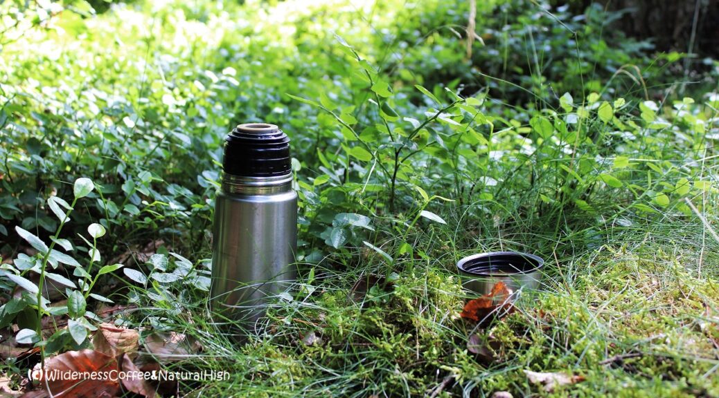 Wilderness Coffee in the forest.