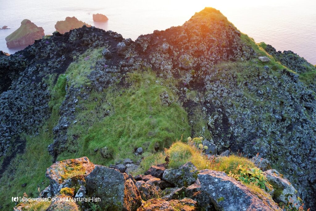 Last ridge to the top Top ridge of Blátindur, Heimaey, Vestmannaeyjar, Iceland.