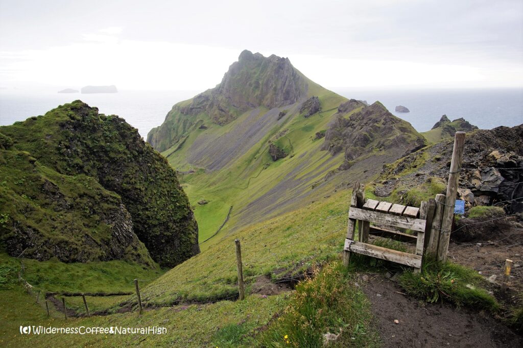 Eggjarnar step, Herjólfsdalur ridge, Heimaey, Vestmannaeyjar, Iceland.