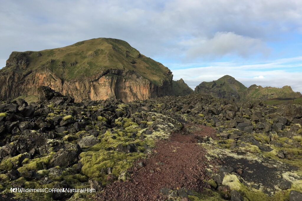 Eldfell hike, lava field track, Heimaey, Vestmannaeyjar, Iceland.