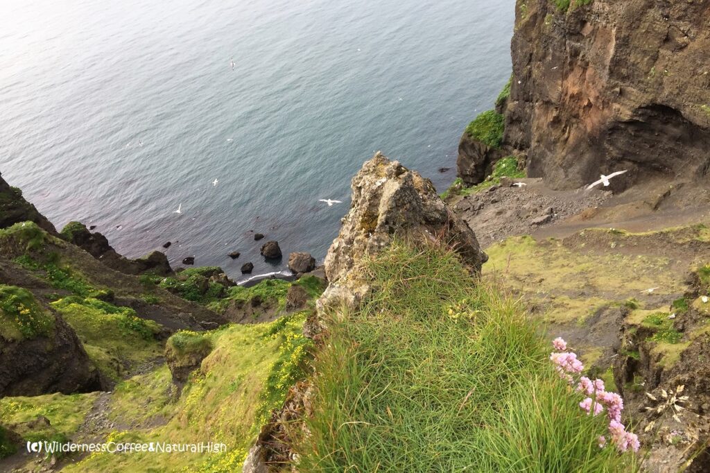 Cliffy coast and jumbled rocks, Herjólfsdalur, Heimaey, Vestmannaeyjar, Iceland.