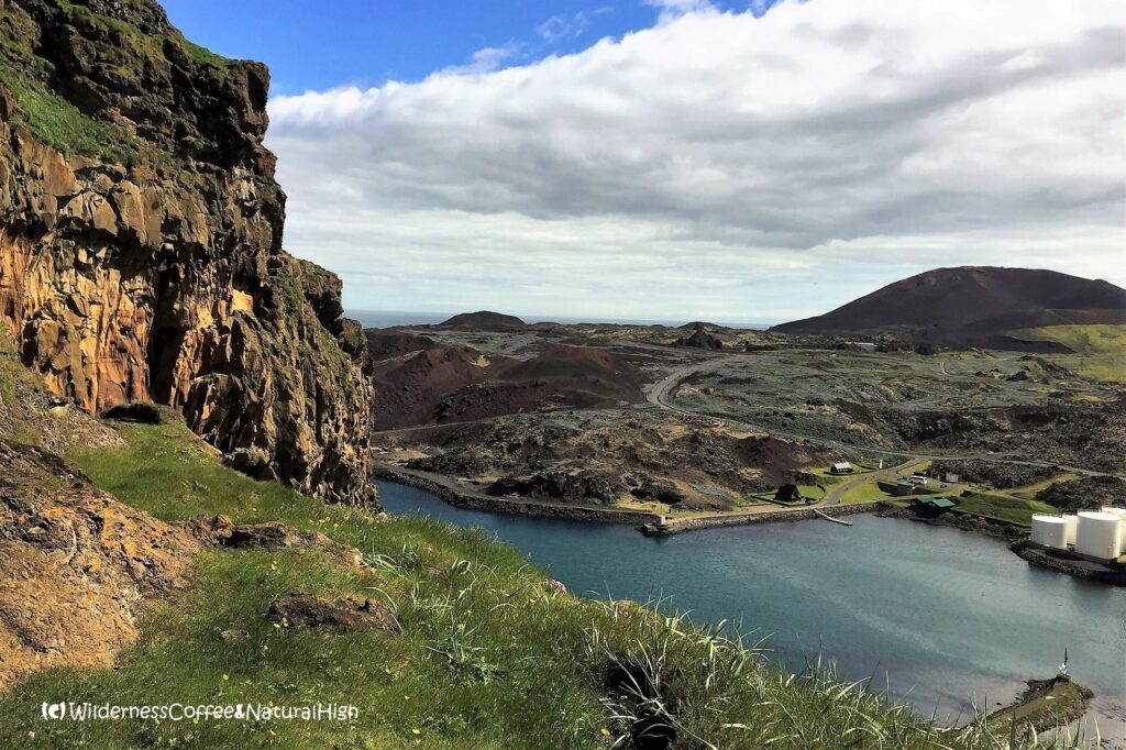 Grassy ridge on Heimaklettur, Vestmannaeyjar, Iceland.