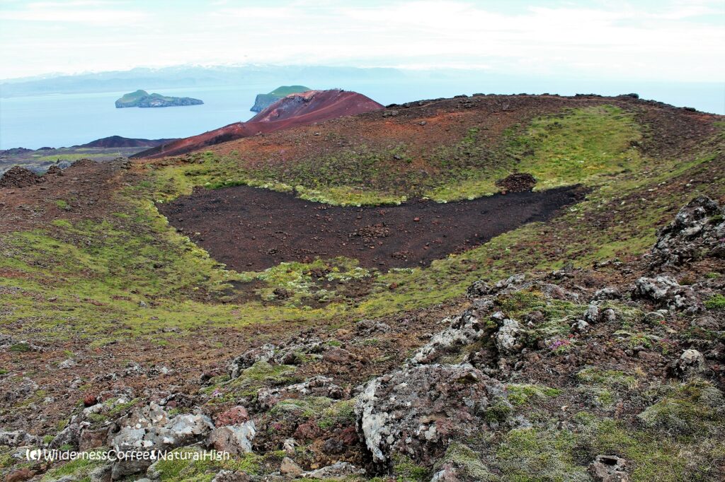 Heart-shaped crater, Helgafell volcano, Heimaey, Vestmannaeyjar, Iceland.
