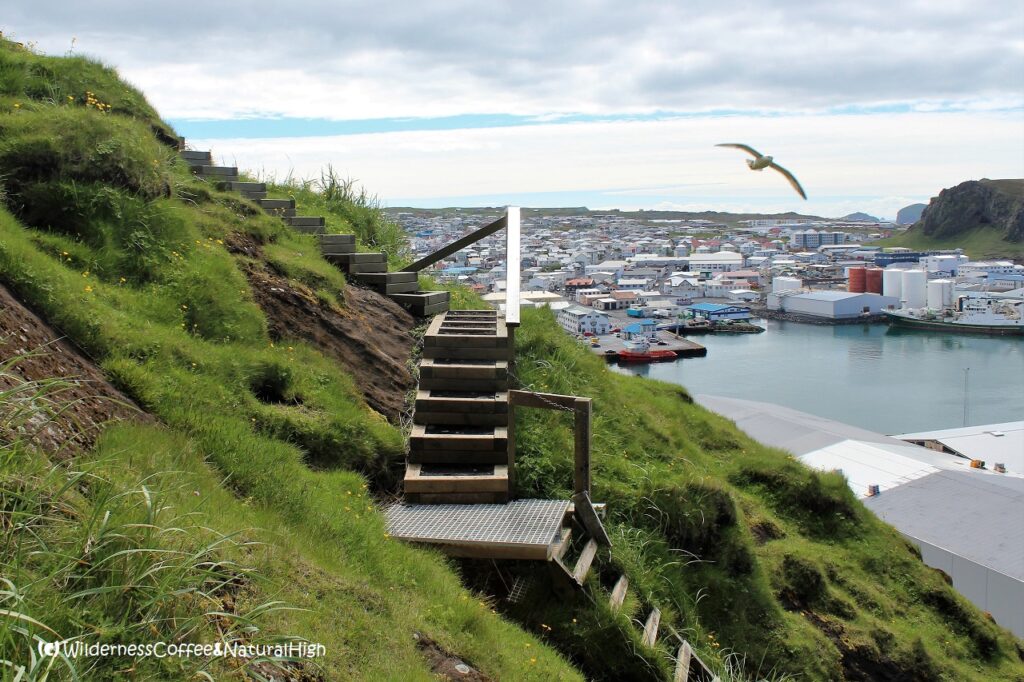 Ladders on the Heimaklettur hike, Heimaey, Iceland.