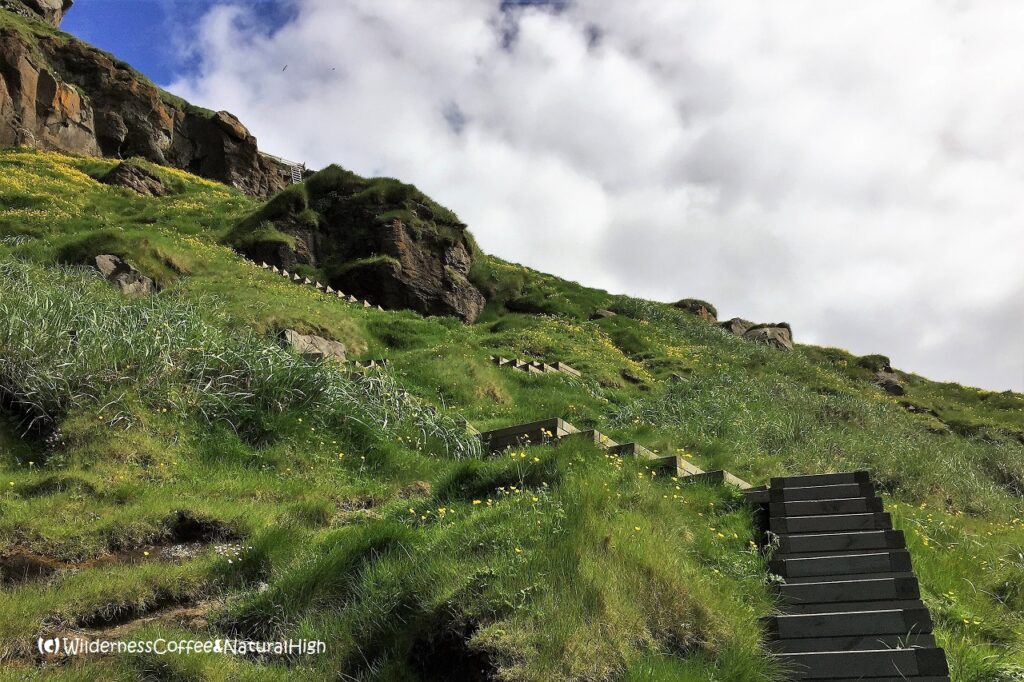 Steps and ladders on the Heimaklettur hike, Heimaey, Iceland.