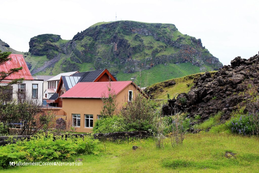 Houses on the Eldfell volcano lava flow, Heimaey, Vestmannaeyjar, Iceland.