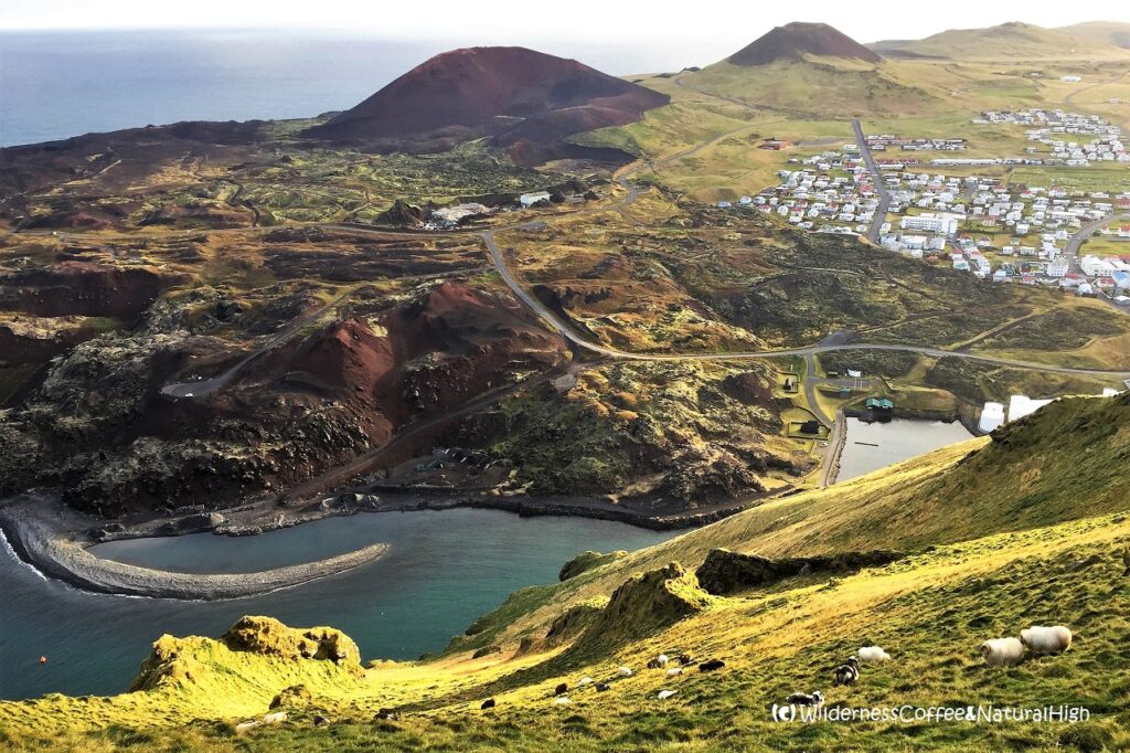 View to Heimaey harbour from the top of Heimaklettur, Vestmannaeyjar, Iceland.