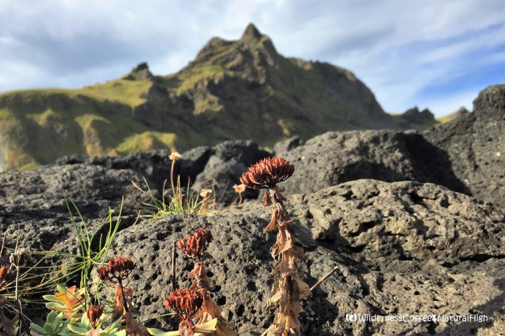 Blátindur and coastal lava flow Blátindur and coastal lava flow, Heimaey, Vestmannaeyjar, Iceland.