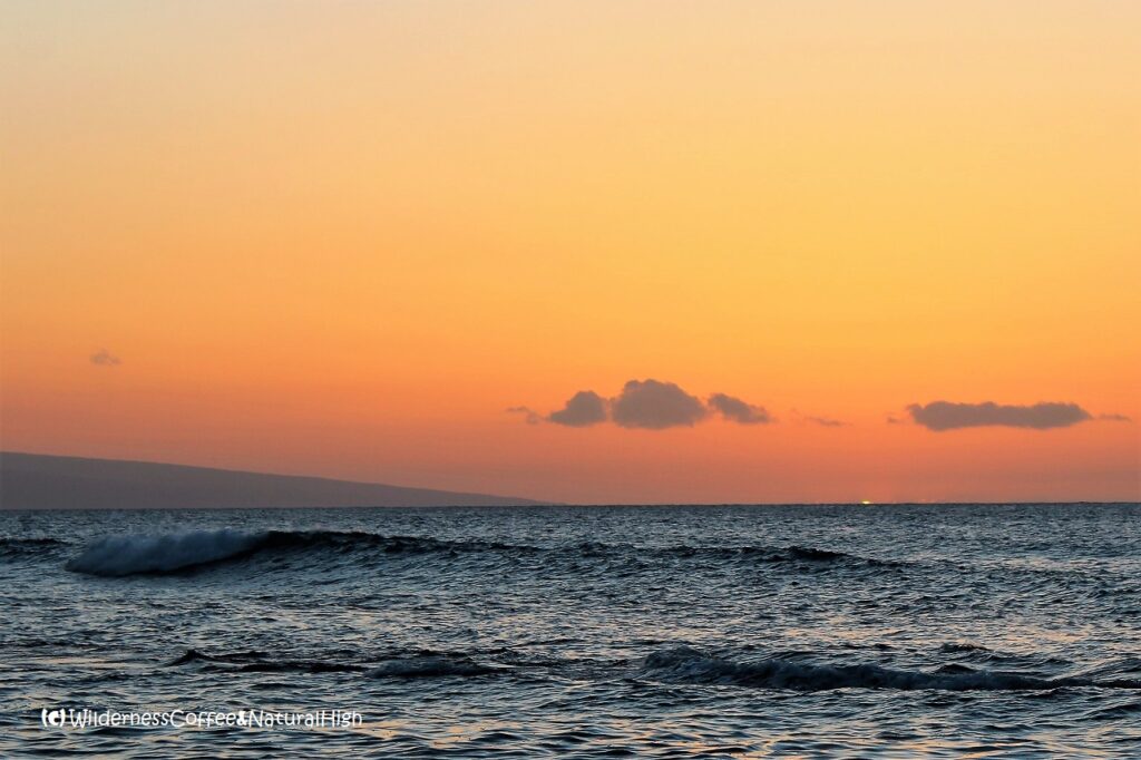 Maui sunset green flash? Maui sunset green flash.