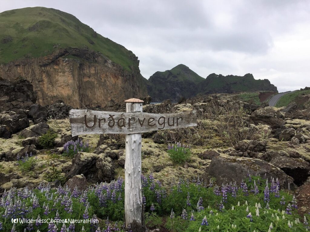 Memorial signpost Urðarvegur and Heimaklettur, Heimaey, Vestmannaeyjar, Iceland.