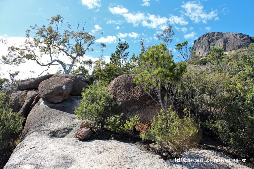 The upper part of the Mount Amos track The upper part of the Mount Amos track, Freycinet Peninsula, Tasmania.