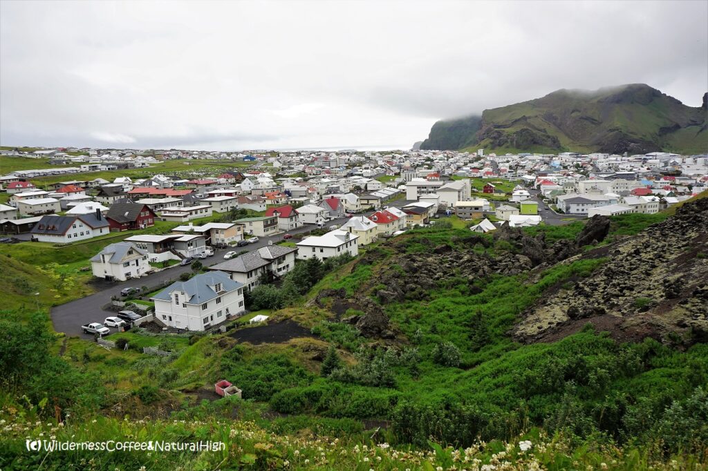 Eldfell lava fields on the edge of town, Heimaey, Vestmannaeyjar, Iceland.