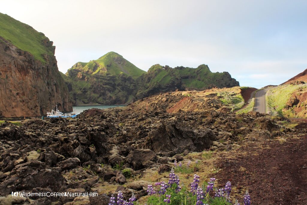 Ominous lava fields from Eldfell around Heimaey harbour, Vestmannaeyjar, Iceland.