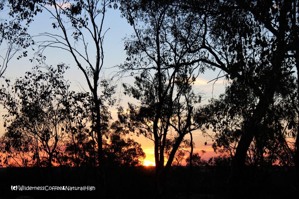 Outback sunset, New South Wales, Australia.