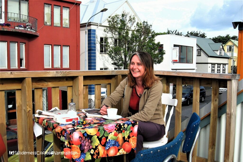 Reykjavík rooftop terrace.