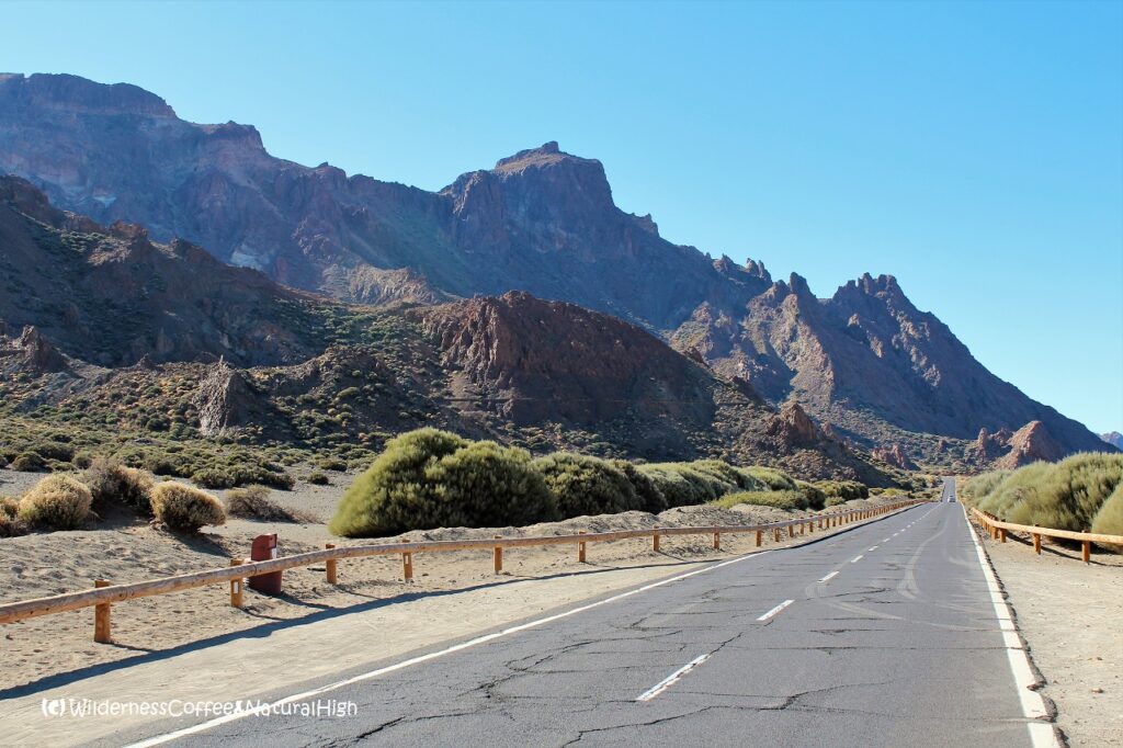 The road into Teide National Park The road into Teide National Park, Tenerife, Canary Islands.