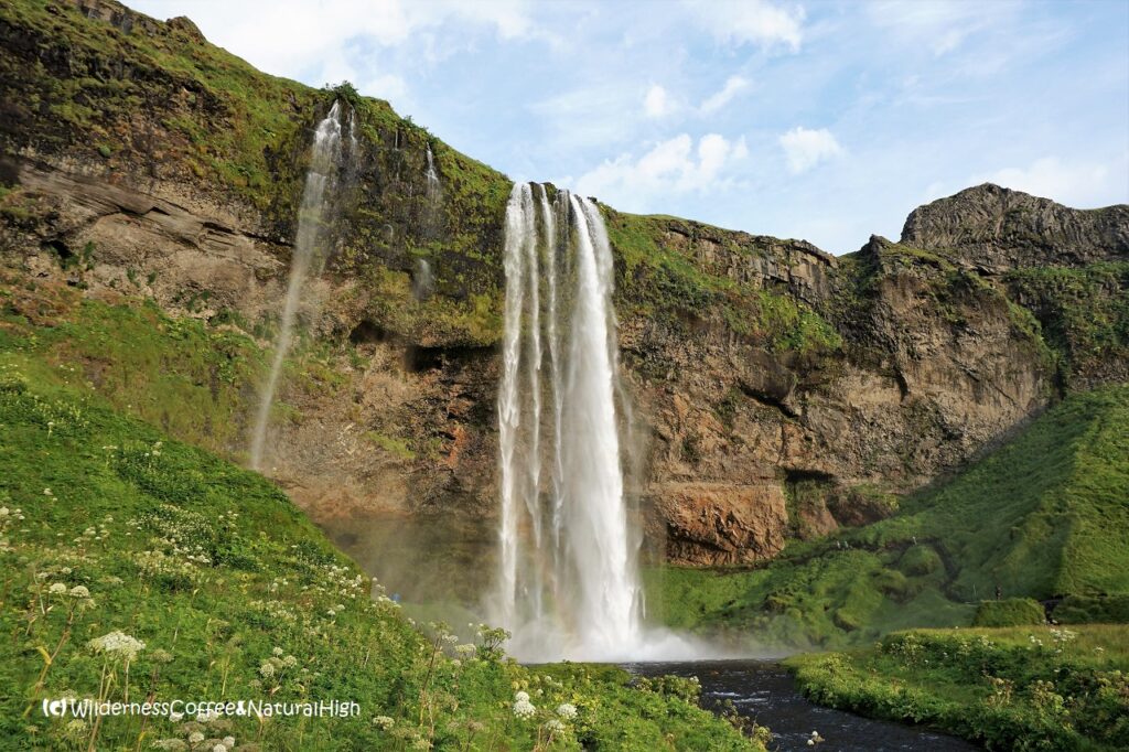 Seljalandsfoss tumbling down from Eyjafjallajökull, south coast, Iceland.