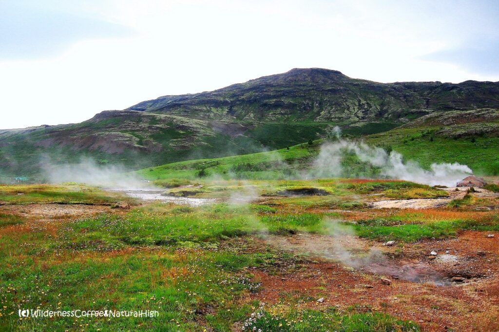 Geysir steaming fields, Golden Circle, south coast, Iceland