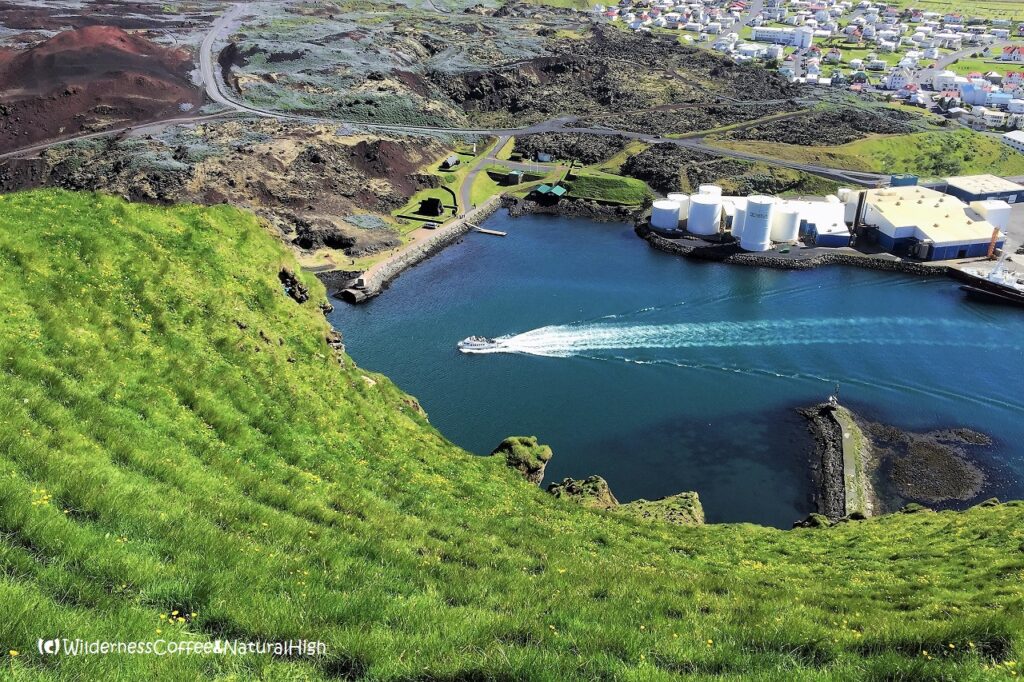 Steep slopes above Heimaey harbour on the Heimaklettur hike, Vestmannaeyjar, Iceland.